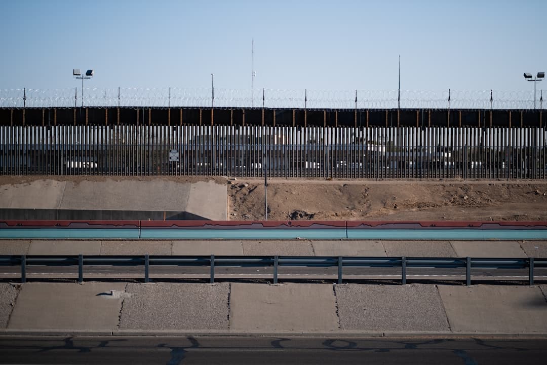 EU avanza hacia un arancel antidumping definitivo contra la fresa mexicana (imagen adicional)