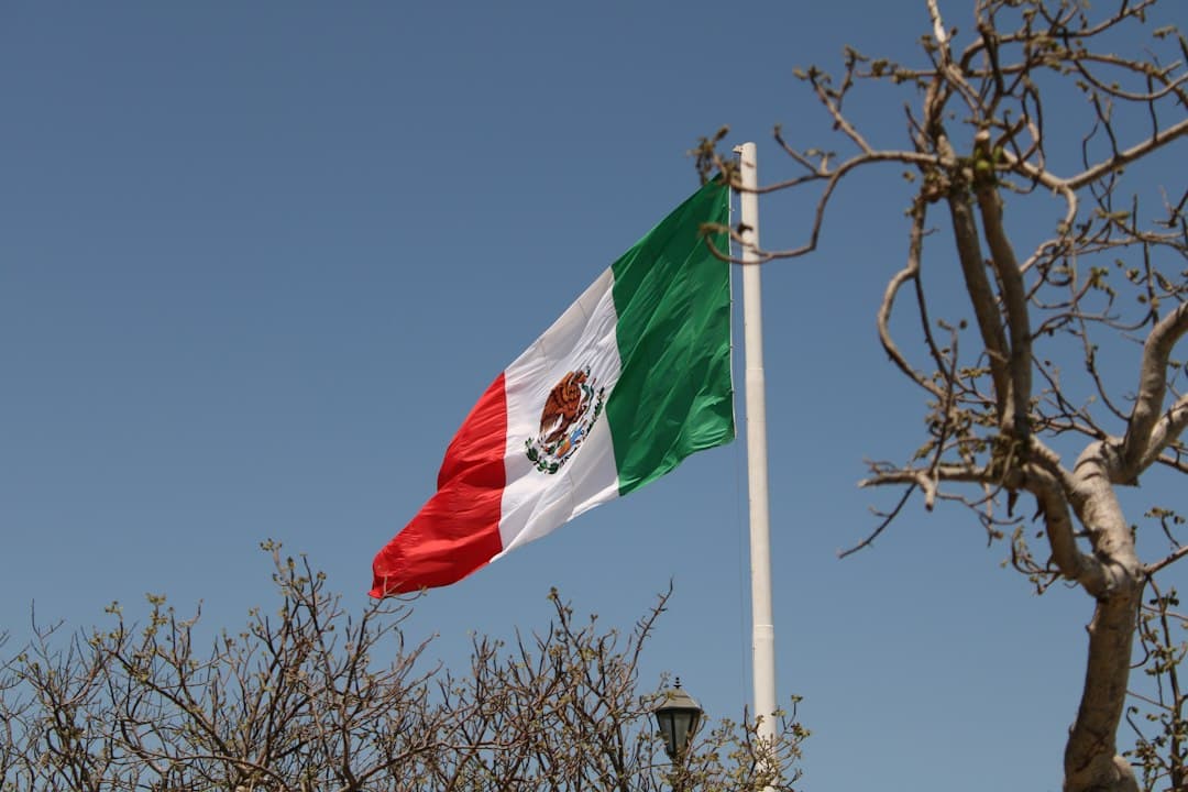México entra en fase electoral: el proceso 2026-2027 pone en juego más de 20 mil cargos (imagen adicional)